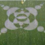 A-cropcircle