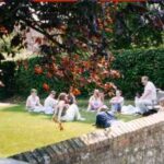 Our-garden