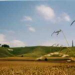White-horse