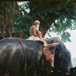 guru